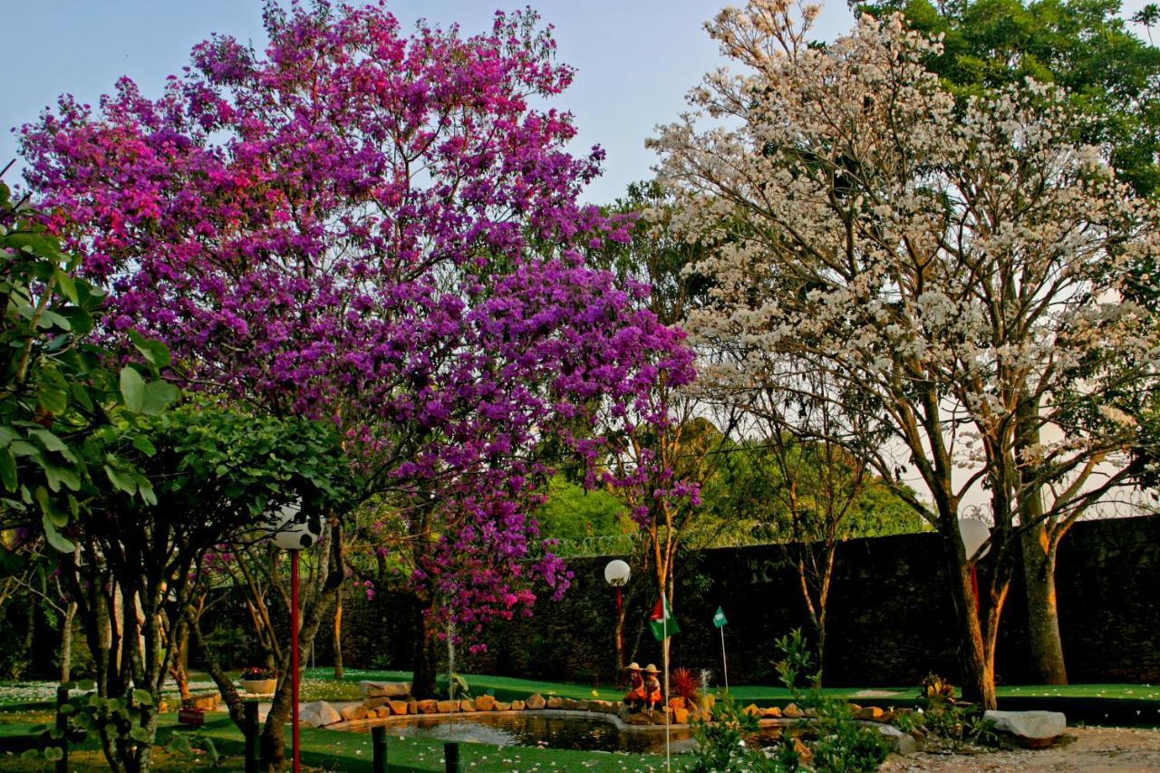 Villa Buonabitacolo Sao Joao del Rei Ngoại thất bức ảnh